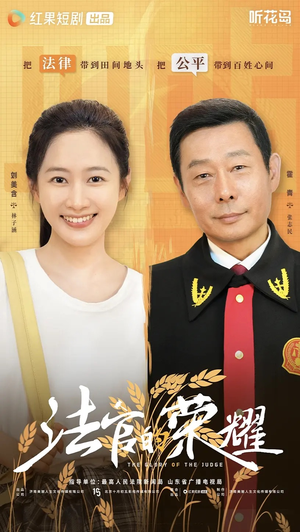 法官的荣耀（5集全）怎么看全集