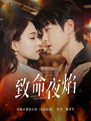 致命夜焰（80集）精彩短剧看不停
