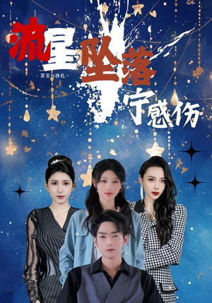 流星坠落宁感伤（82集） 好看到停不下来