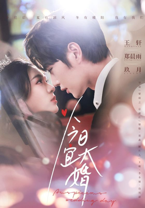 今日宜大婚（59集） 精彩短剧下载