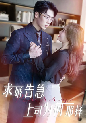 求婚告急上司为何那样（70集） 短剧排行榜