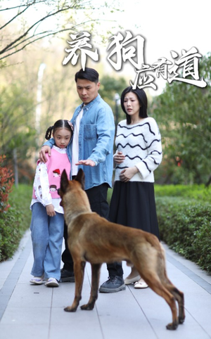 养狗应有道（60集）夸克网盘在线看