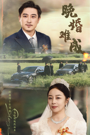 晚婚难成（60集）男主角是谁