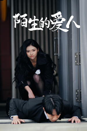 陌生的爱人（60集）免费在线看全集