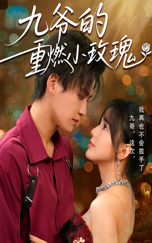 九爷的重燃小玫瑰（67集）精彩短剧上线