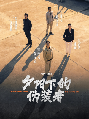 夕阳下的伪装者（47集）演员表