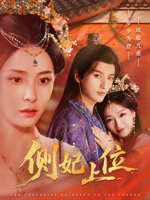 侧妃上位（80集）好看吗