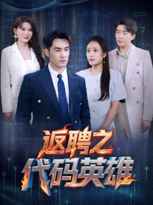 返聘之代码英雄（37集）番茄免费短剧