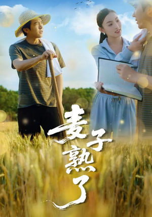 麦子熟了（52集）真的好看吗
