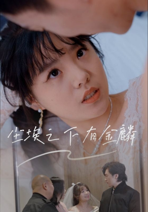 尘埃之下有金鳞（60集）精彩的网络短剧