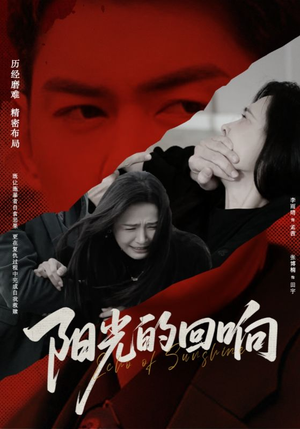 阳光的回响（50集）每天分享短剧