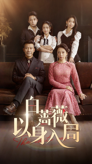 白蔷薇以身入局（82集）精彩短剧追不停