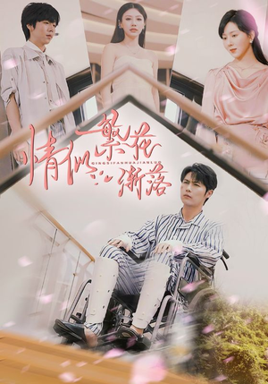 情似繁花渐落（62集）免费短剧大全