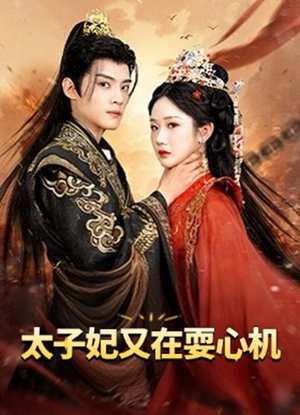 太子妃又在耍心机（80集）热门短剧推广