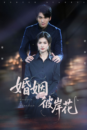 婚姻彼岸花（63集）免费观看全集