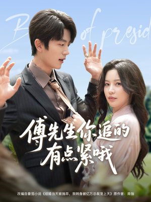 傅先生你追的有点紧哦（95集）免费看
