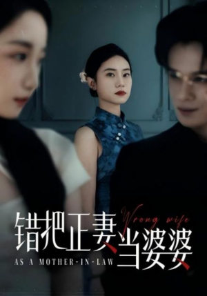 错把正妻当婆婆（46集）口碑爆棚免费看