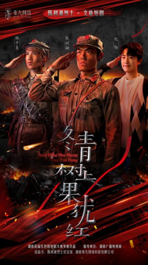 冬青树上果犹红（9集）怎么看全集