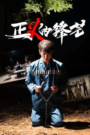 zheng正义的锋芒（64集）口碑之选免费看
