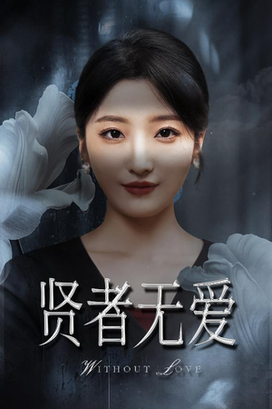 贤者无爱（42集）精彩的网络短剧