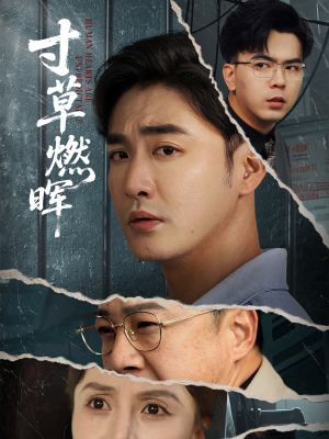 寸草燃晖（70集）免费短剧完整版