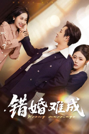 错婚难成（45集）精彩短剧看全集