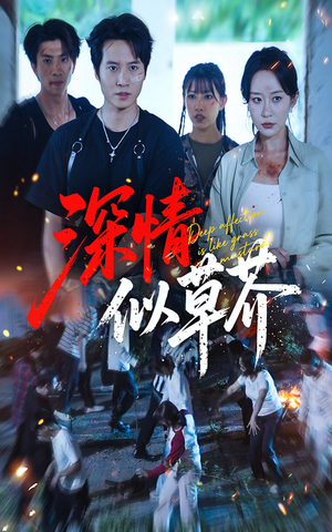 深情似草芥（51集）高分推荐免费看