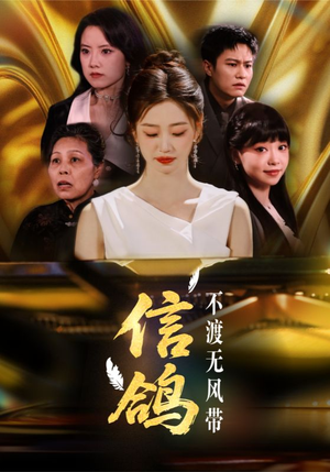 信鸽不渡无风带（65集）好看短剧抢先看