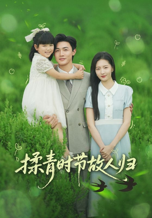 揉青时节故人归（60集）短剧片段推荐