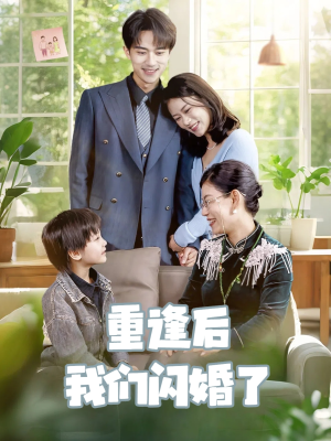 重逢后我们闪婚了（35集）流畅播放免费看
