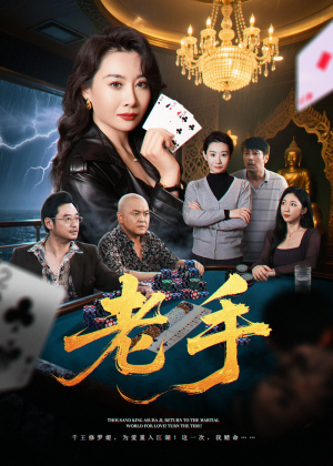 老手（36集）最后一集