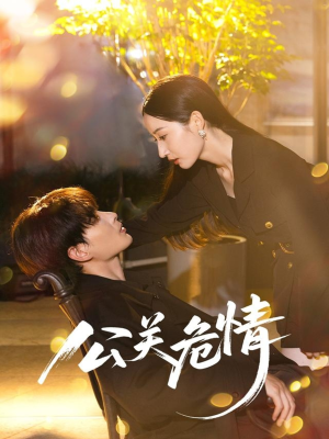 公关危情（60集）免费看全集