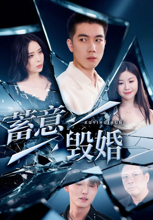 蓄意毁婚（51集）在线观看