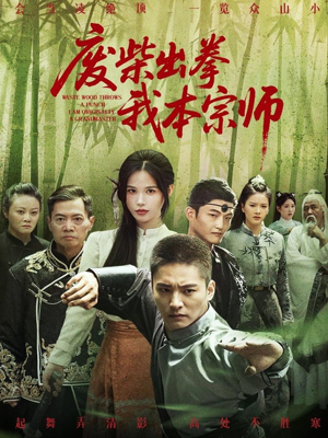 废柴出拳我本宗师（61集）免费短剧看不停