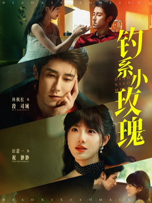 钓系小玫瑰（82集）全网独播免费看