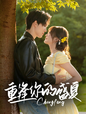 重逢你的盛夏（66集）免费版