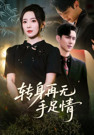 转身再无手足情（71集）热门短剧大全