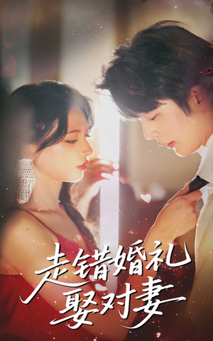 走错婚礼娶对妻（60集热门短剧追不停