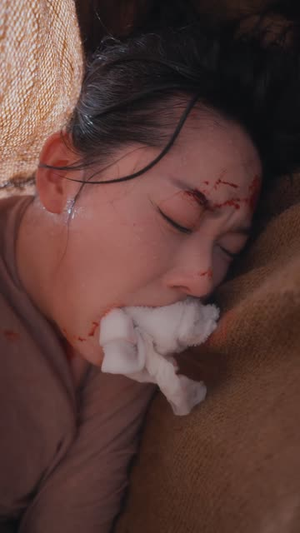 终是庄周梦了蝶（72集）全集在线看