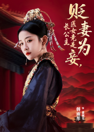 贬妻为妾医女竟是长公主（80集）爱上了这部剧了