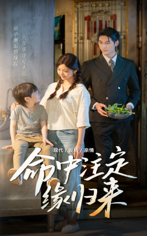 命中注定缘归来（63集）短剧热播中