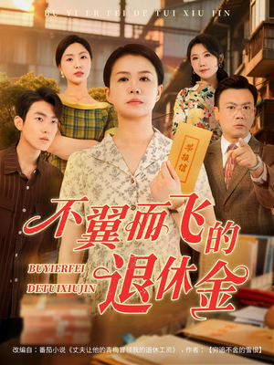 不翼而飞的退休金（63集）全集我都看完了
