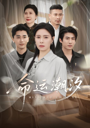 命运潮汐（62集）短剧全集免费看