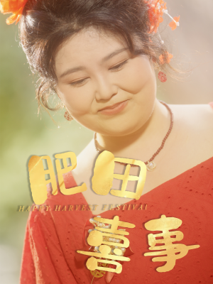肥田喜事（33集）怎么看全集