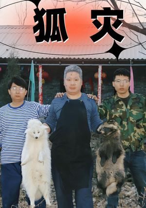 狐灾（25集）火爆短剧热播中
