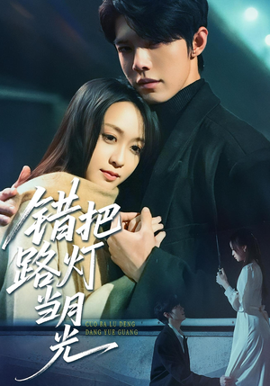 错把路灯当月光（40集）免费看全集