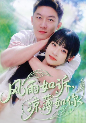 风雨如诉凉薄如你（70集）最新上映的短剧