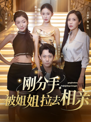 刚分手被姐姐拉去相亲&分手被姐姐拉去相亲（73集）快来看短剧