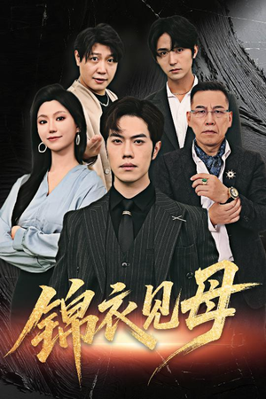 锦衣见母（60集）一共多少集
