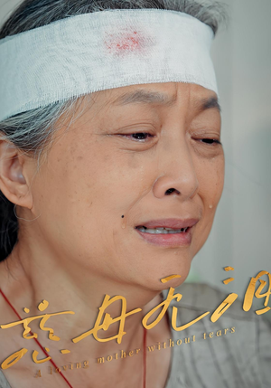 慈母无泪（30集）在哪看是免费的
